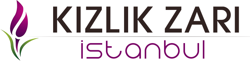 İstanbul Kızlık Zarı Dikimi Logo